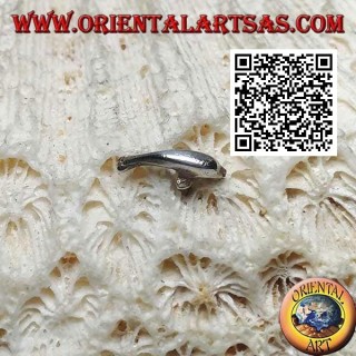 Mini silver earring, the dolphin