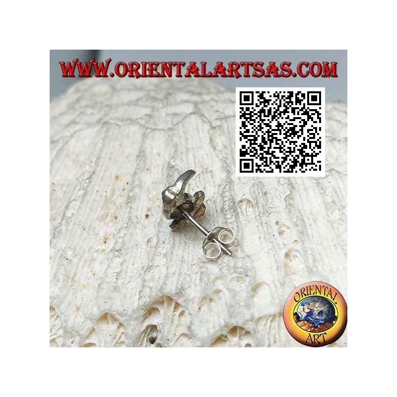 Mini boucle d'oreille en argent, le perroquet