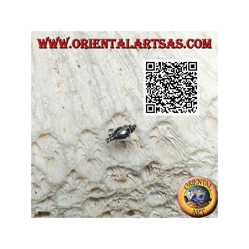 Mini silver earring, the gastropod shell