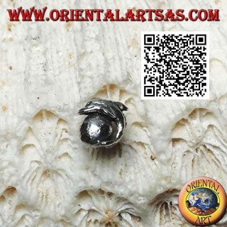 Boucle d'oreille mini argent, le dauphin sur la balle (b)