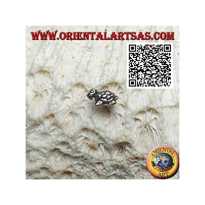 Mini silver earring, the turtle in profile