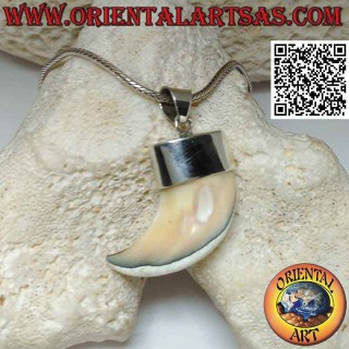 Großer Calliostoma Perlmutt Horn Anhänger in Silber