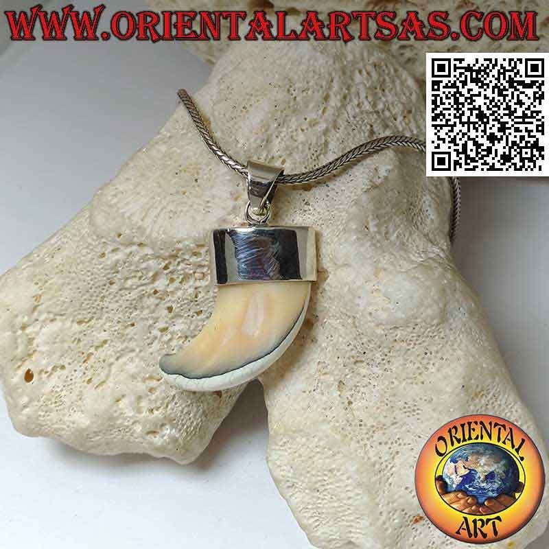 Großer Calliostoma Perlmutt Horn Anhänger in Silber