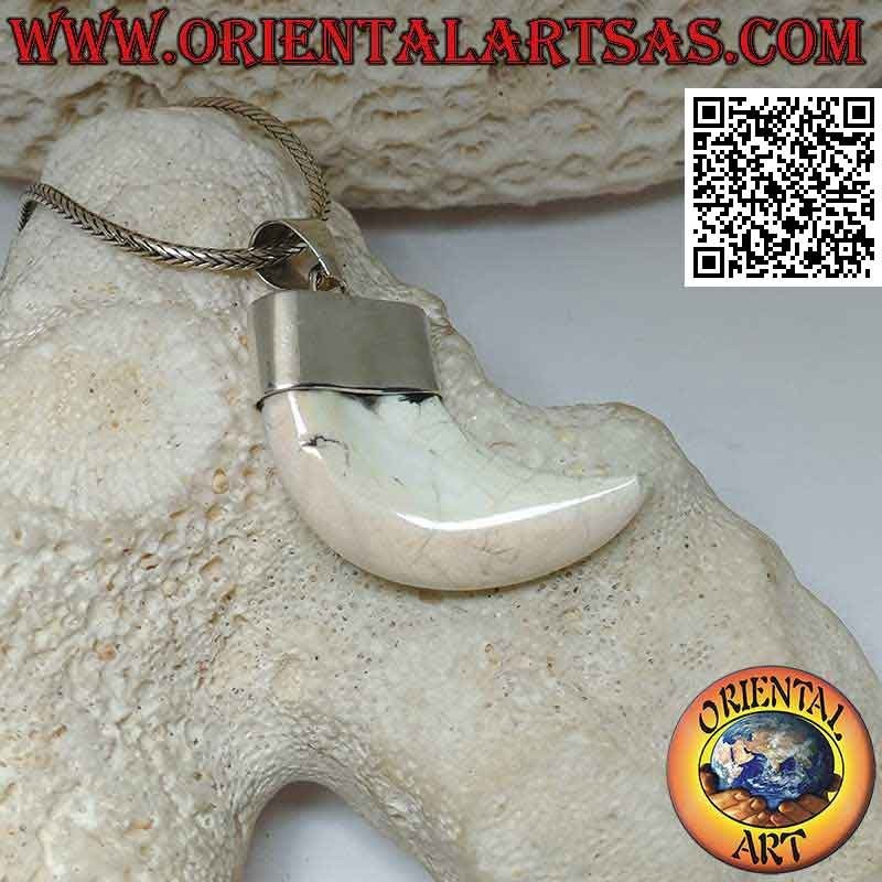 Large Calliostoma mother-of-pearl horn pendant in silver