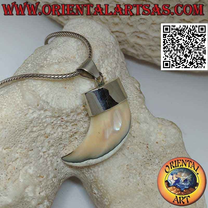 Colgante grande de cuerno de nácar Calliostoma en plata