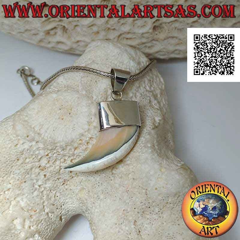 Pointed Calliostoma mother-of-pearl horn pendant in silver
