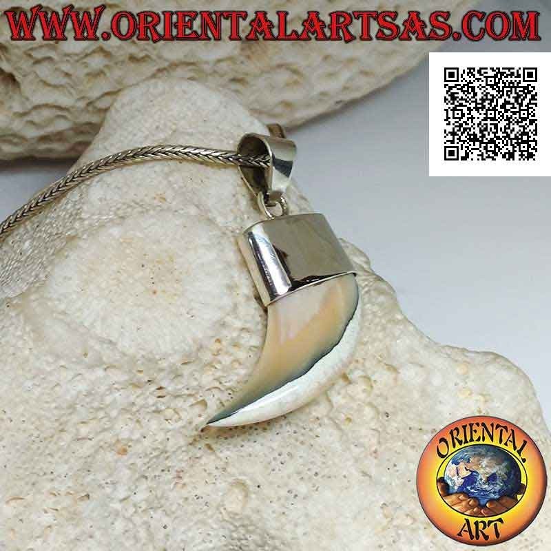 Pointed Calliostoma mother-of-pearl horn pendant in silver