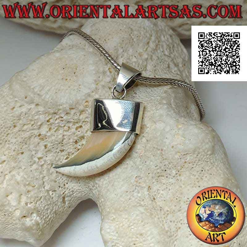 Colgante de cuerno de nácar Calliostoma puntiagudo en plata