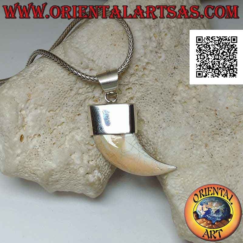 Colgante de cuerno de nácar Calliostoma puntiagudo en plata
