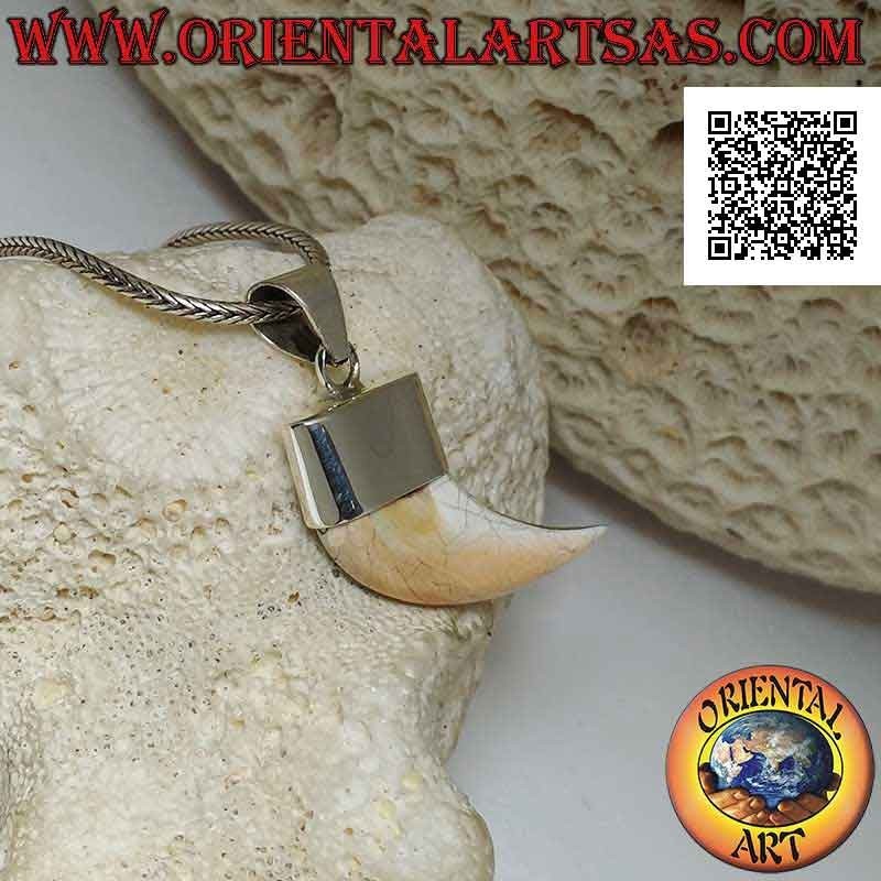 Colgante de cuerno de nácar Calliostoma puntiagudo en plata