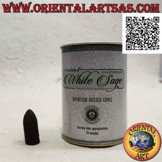 Conos de incienso para cascada de humo, White Sage (paquete de 24 piezas)