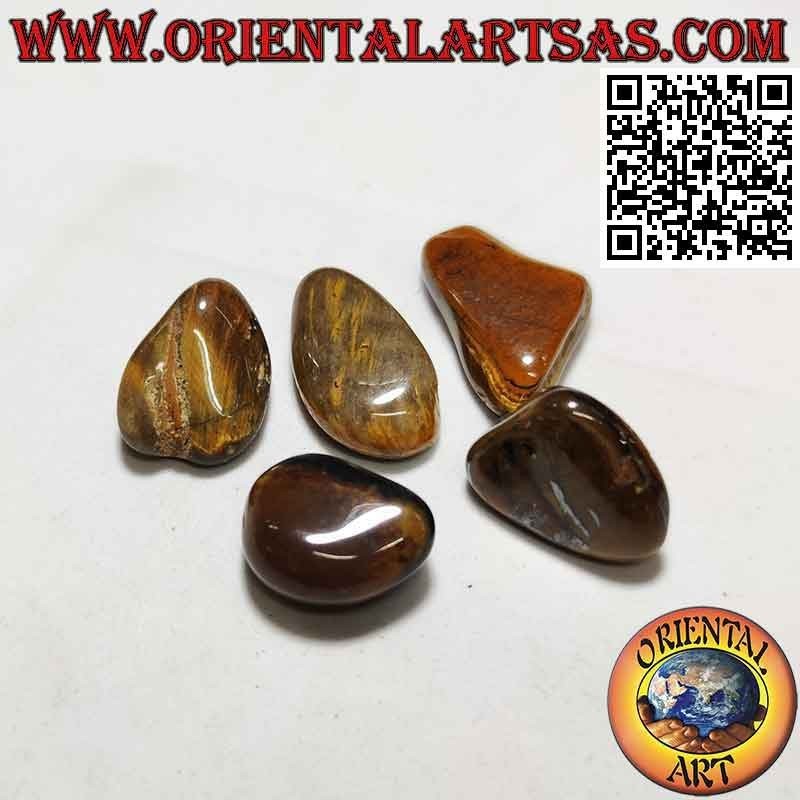 Ojo de tigre caído (pequeño)