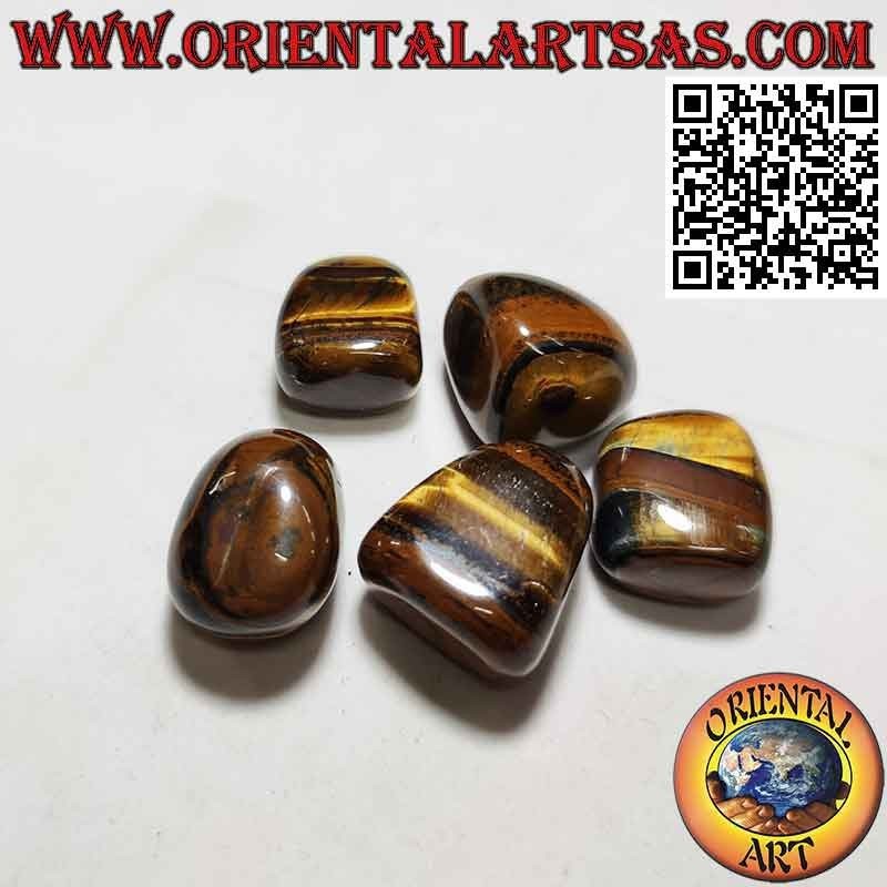 Ojo de tigre caído (grande)