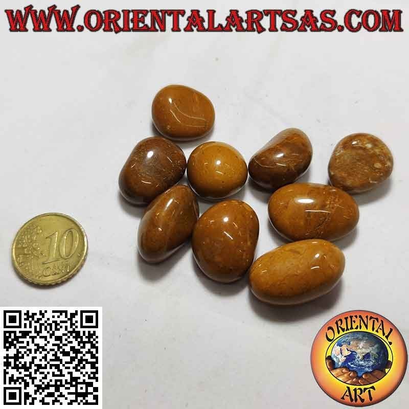 Jaspe de tigre caído (pequeño)