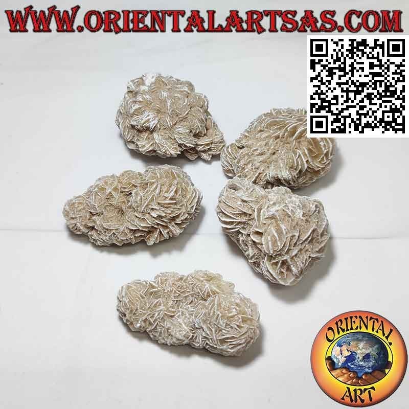 Rosa del desierto (40 g → 50 g)