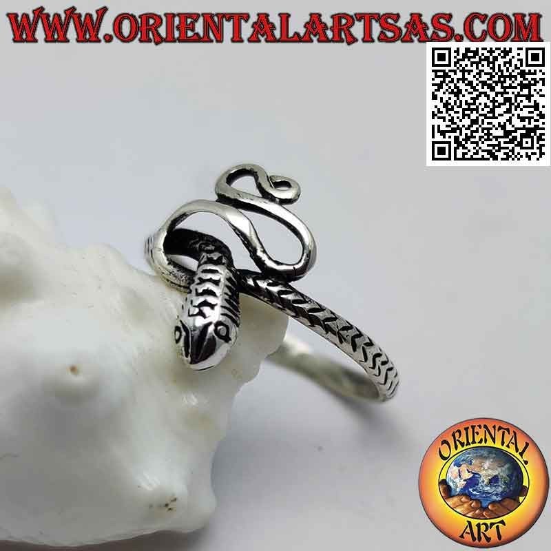 Anillo de plata en forma de serpiente en forma y retorcida (pequeña)