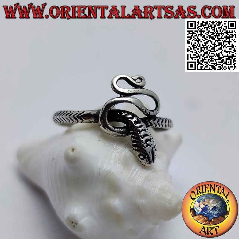 Anillo de plata en forma de serpiente en forma y retorcida (pequeña)