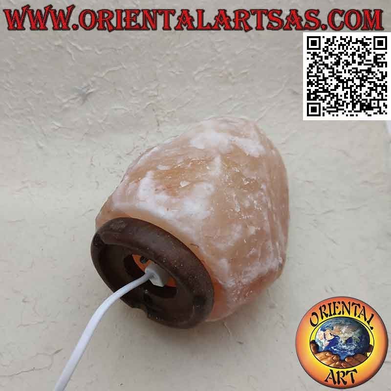 2 → 3 kg Himalaya rosa Salzlampe (Pflanze und Zwiebel enthalten)