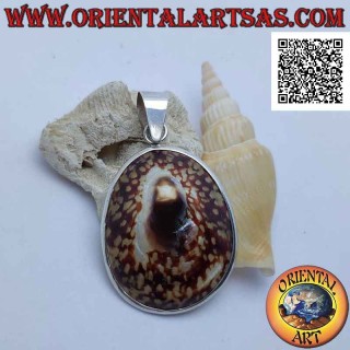 Colgante de plata con concha "Oreja del mar" engastada en un marco plateado liso