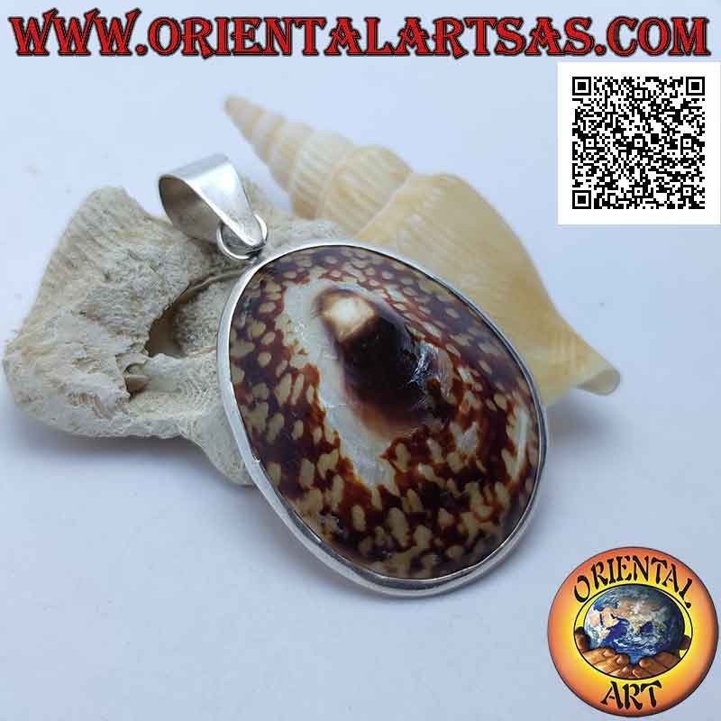 Pendentif en argent avec coquillage "Ear of the Sea" serti sur un cadre argenté lisse