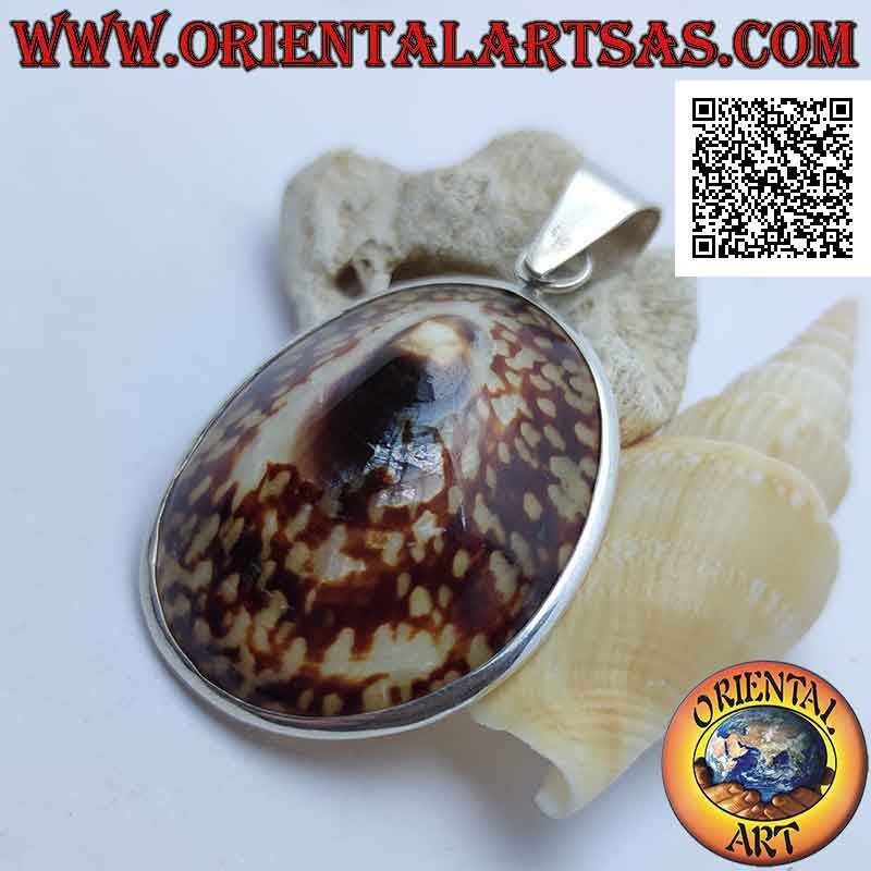 Silver pendant with "Ear of the Sea" shell set on a smooth silver frame