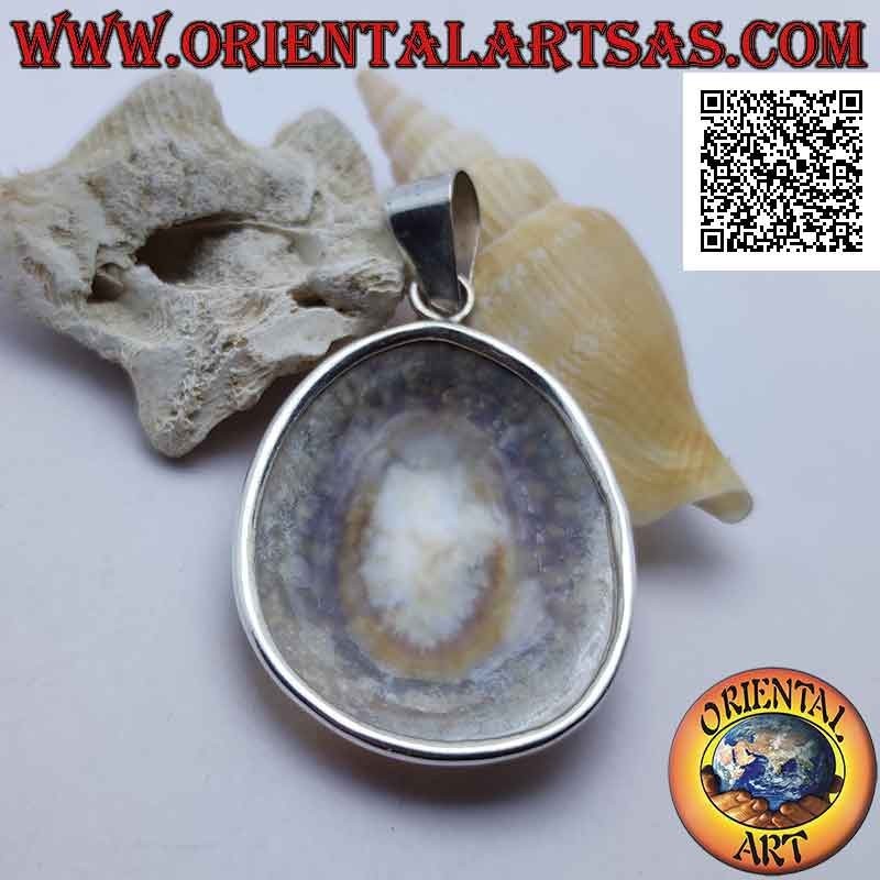 Pendentif en argent avec coquillage "Ear of the Sea" serti sur un cadre argenté lisse