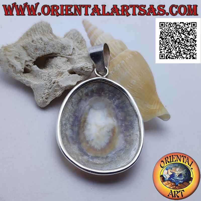 Silver pendant with "Ear of the Sea" shell set on a smooth silver frame