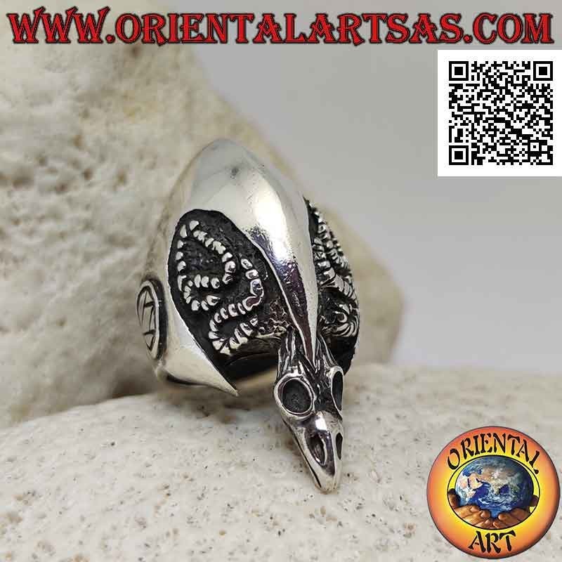Silver ring, the skull of the vulture