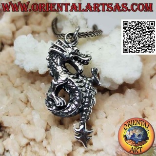 Colgante de plata en forma de dragón lindworm de perfil con cola enrollada