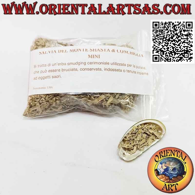 Incienso chamánico - Mancha picada de salvia blanca con minicáscara