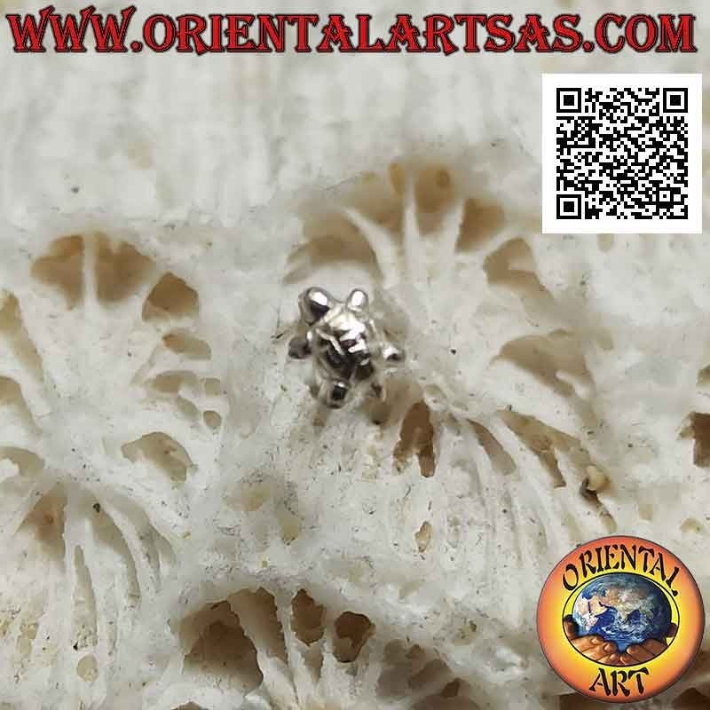 Mini earring / nose pin in silver, the turtle