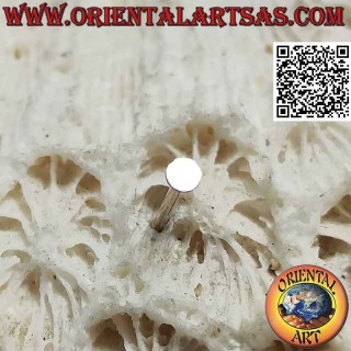 Mini boucle d'oreille / nez point en argent, la créole lisse et plate