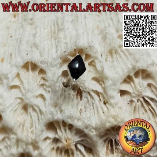 Mini boucle d'oreille / épingle à nez en argent losange Onyx