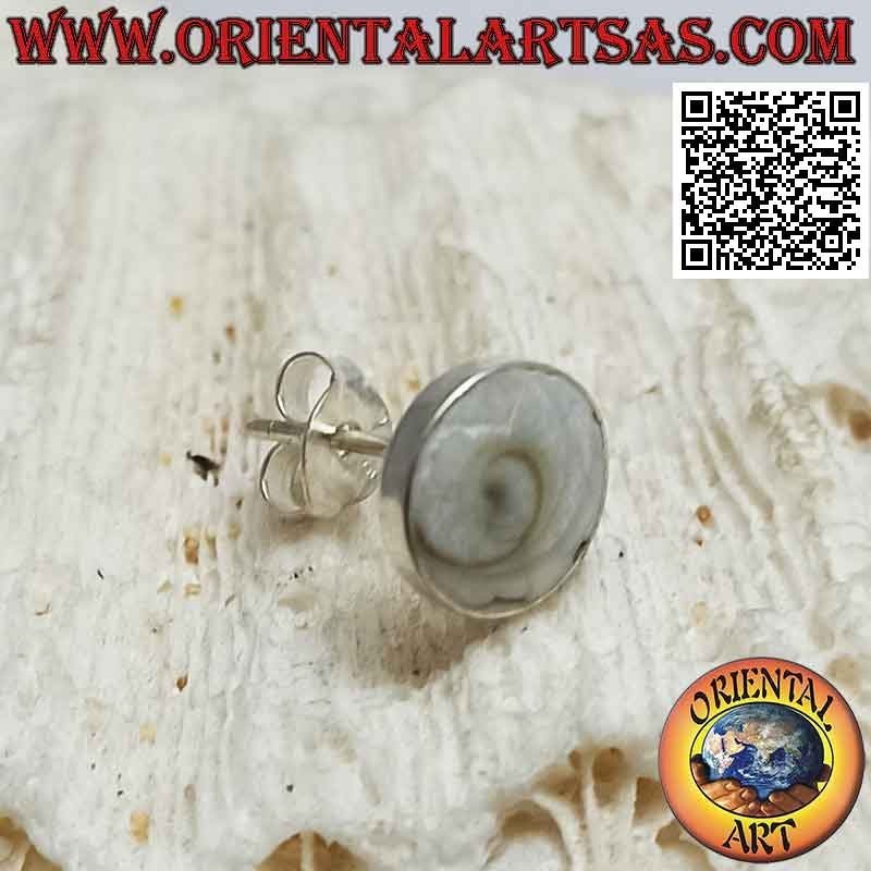 Mini silver earring, the round shell "eye of Saint Lucia" (b)