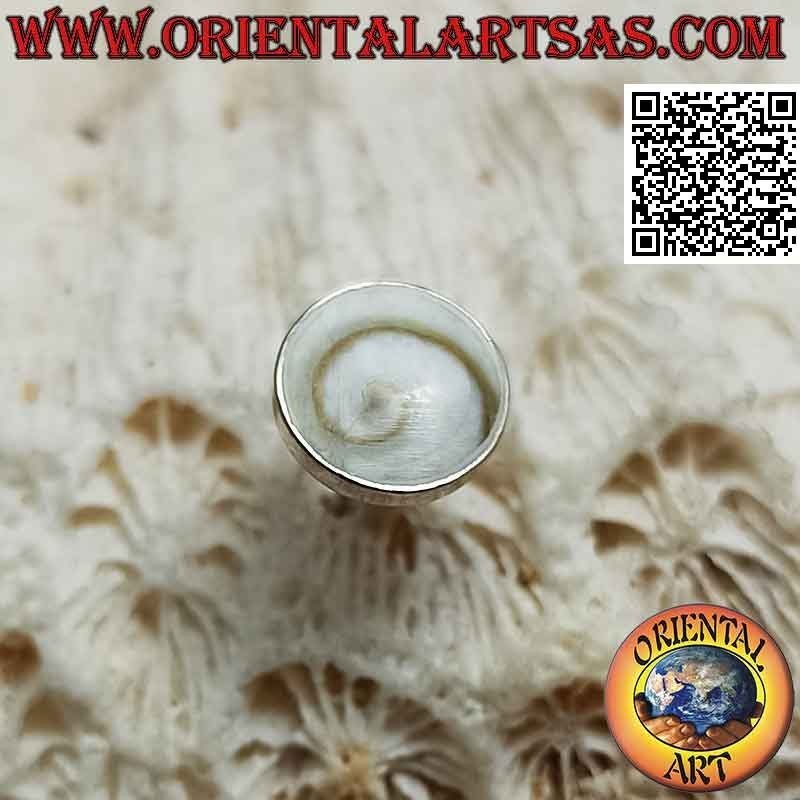 Mini orecchino in argento, la conchiglia "occhio di Santa Lucia" tonda (b)
