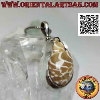 Silver pendant, "strombus" shell section set on a smooth wire frame