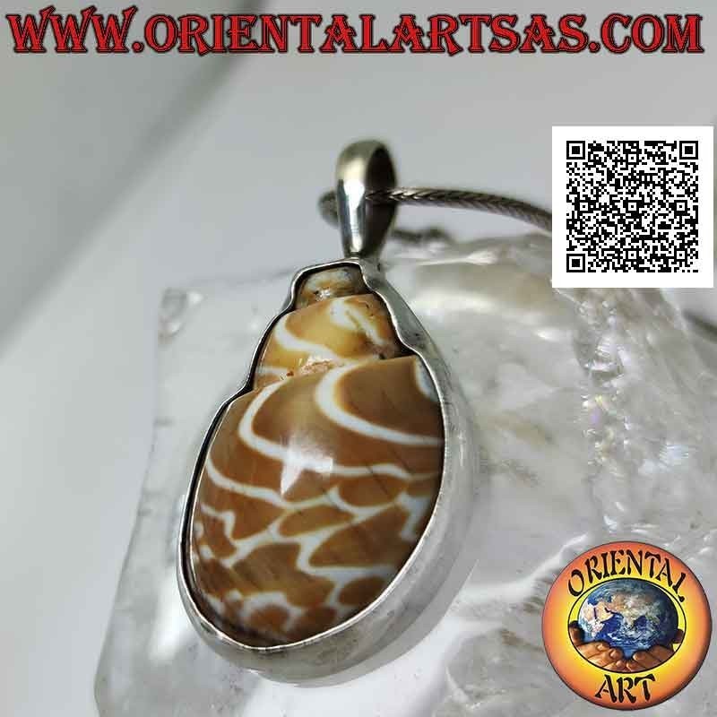 Pendentif en argent, section de coquillage "strombus" monté sur une armature en fil de fer lisse