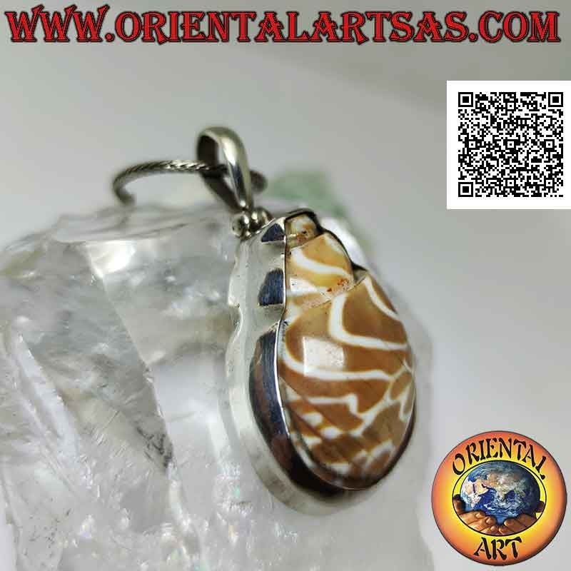 Pendentif en argent, section de coquillage "strombus" monté sur une armature en fil de fer lisse
