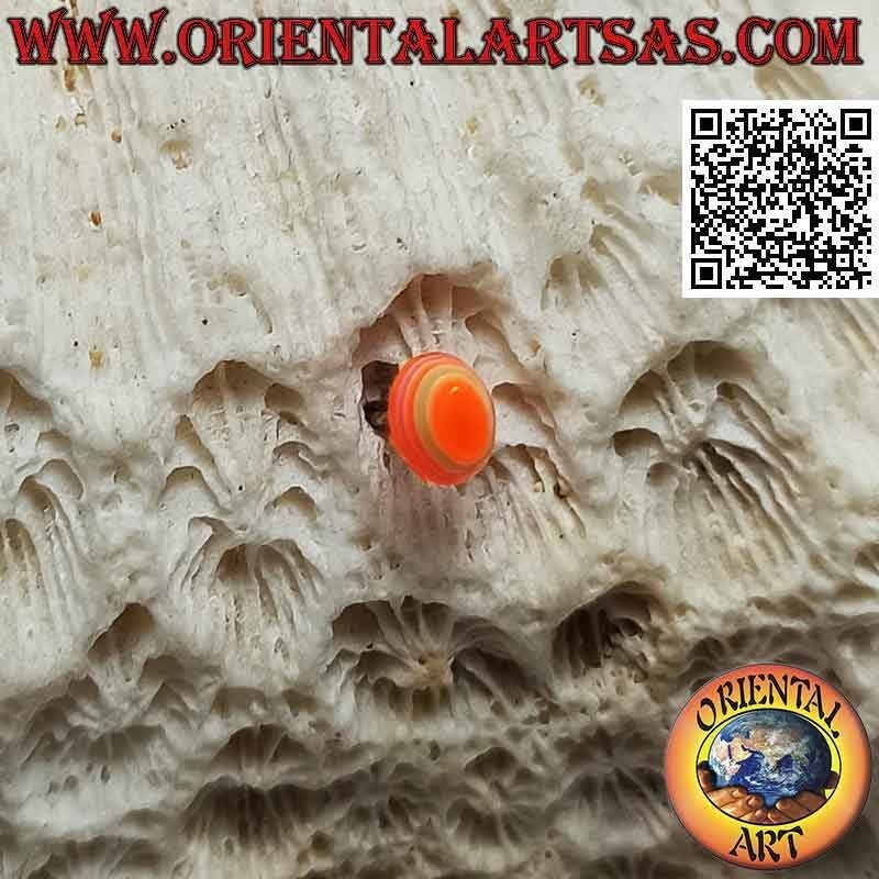 Mini-Ohrring in Silber, der abgeschrägte ovale Kegel mit bunten Streifen