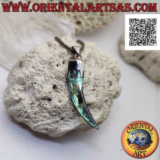 Silver abalone (paua shell) horn "lucky charm" pendant with hood