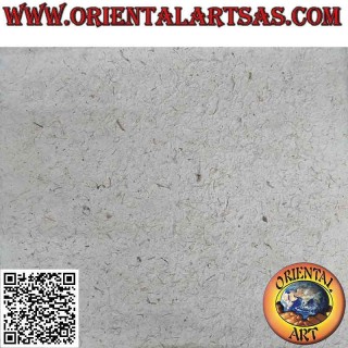 Papel de morera artesanal en bruto, 79 x 56 cm (peso 115)