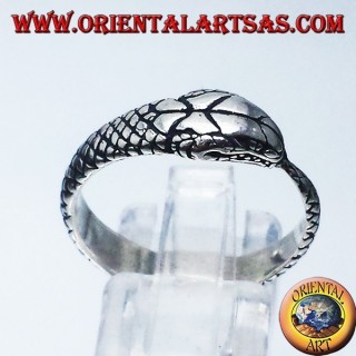 anillo de plata, Ouroboros