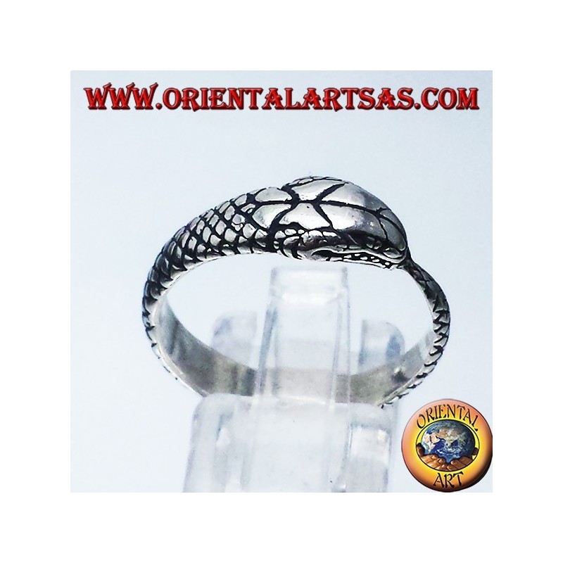Silver ring, Ouroboros