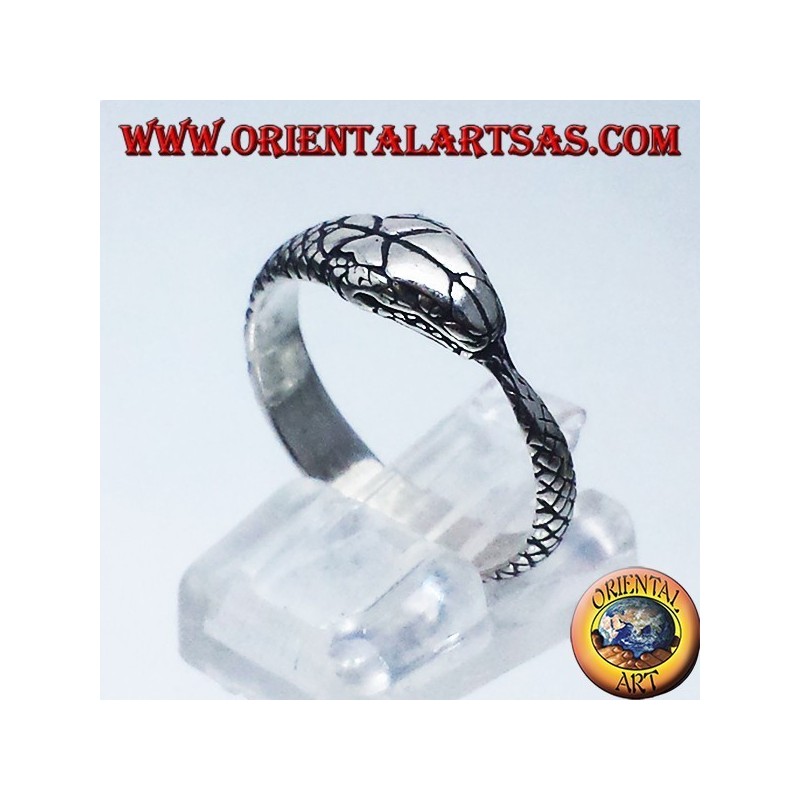 Bague en argent, Ouroboros