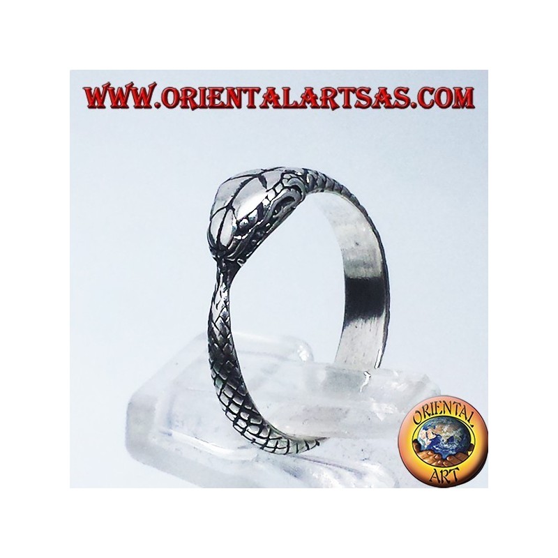 Silberring , Ouroboros