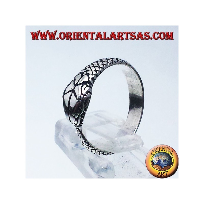 Silberring , Ouroboros