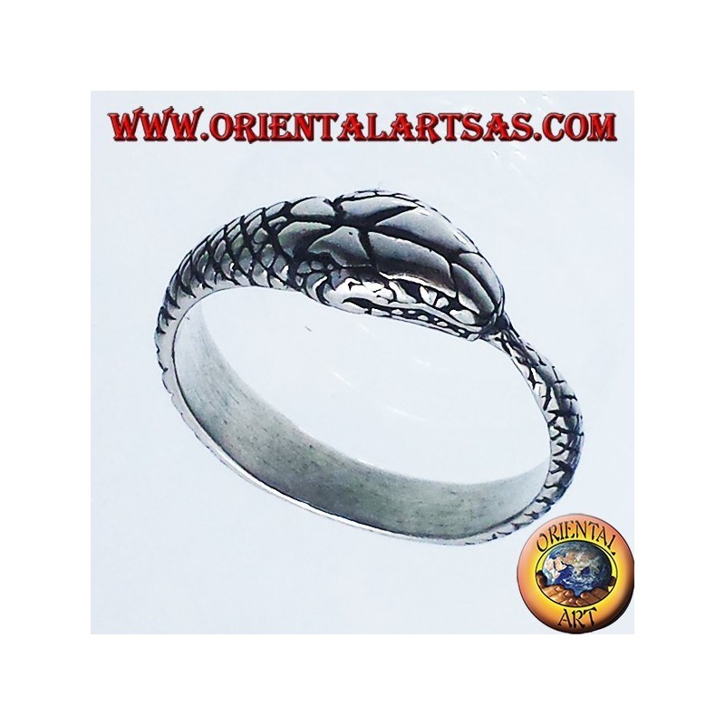 Bague en argent, Ouroboros