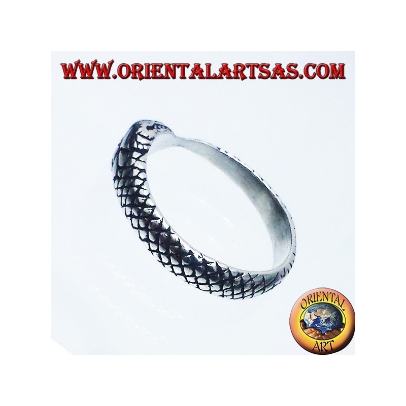 Anello in argento, Ouroboros
