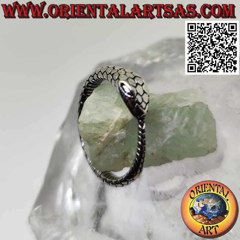 Silberring, gravierte dreidimensionale Ouroboros-Schlange