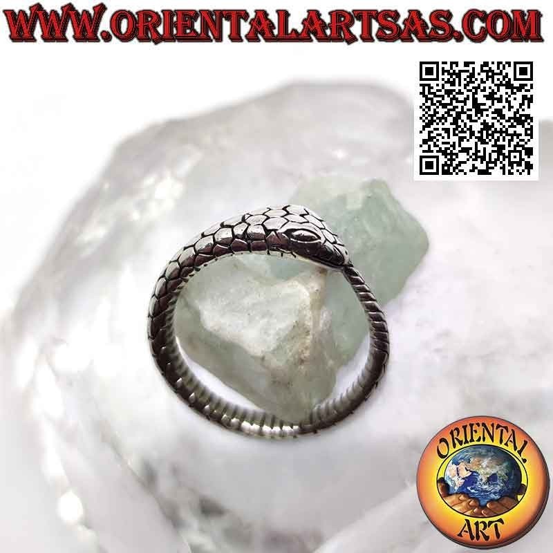 Anillo de plata, serpiente Ouroboros tridimensional grabada